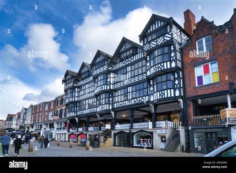 tudor white city